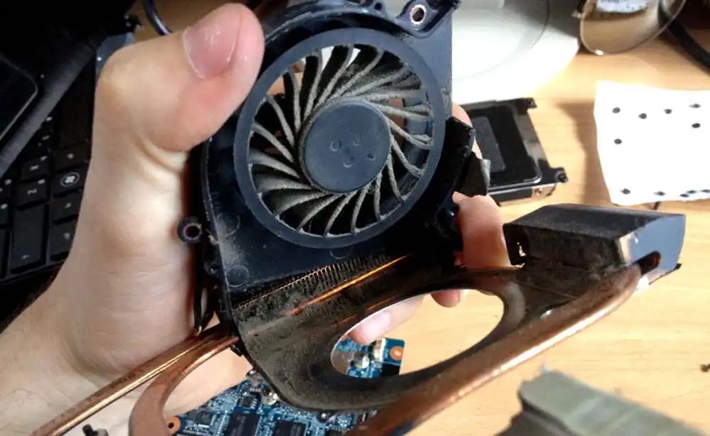 Чистка ноутбука HP от пыли в Токсово | Замена термопасты