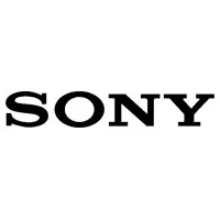 Ремонт нетбуков Sony в Токсово