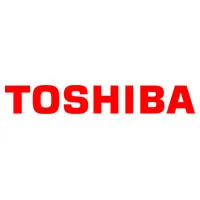 Ремонт ноутбука Toshiba в Токсово