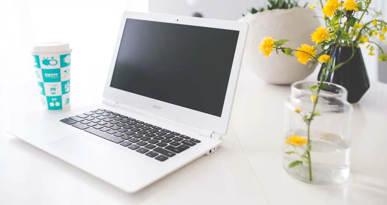 Ремонт ноутбуков Acer в Токсово