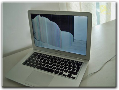 Замена матрицы Apple MacBook в Токсово