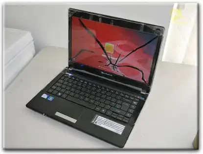 Замена матрицы Packard Bell в Токсово